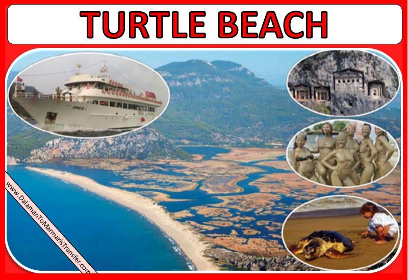 Marmaris to Turtle Beach Marmaris to Turtle Beach